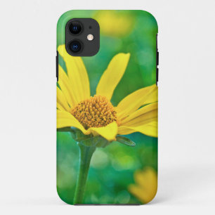 Capa Para iPhone 11 Goldie