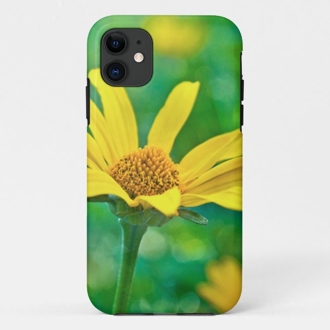 Capa Para iPhone 11 Goldie (Verso)