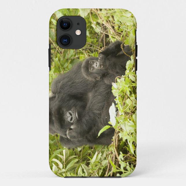 Capa Para iPhone 11 Gorila-da-montanha, Gorilla beringei (anteriorment (Verso)