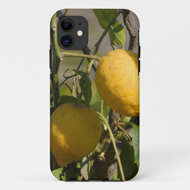 Capa Para iPhone 11 Gráficos de Limão Espanhol (Verso)
