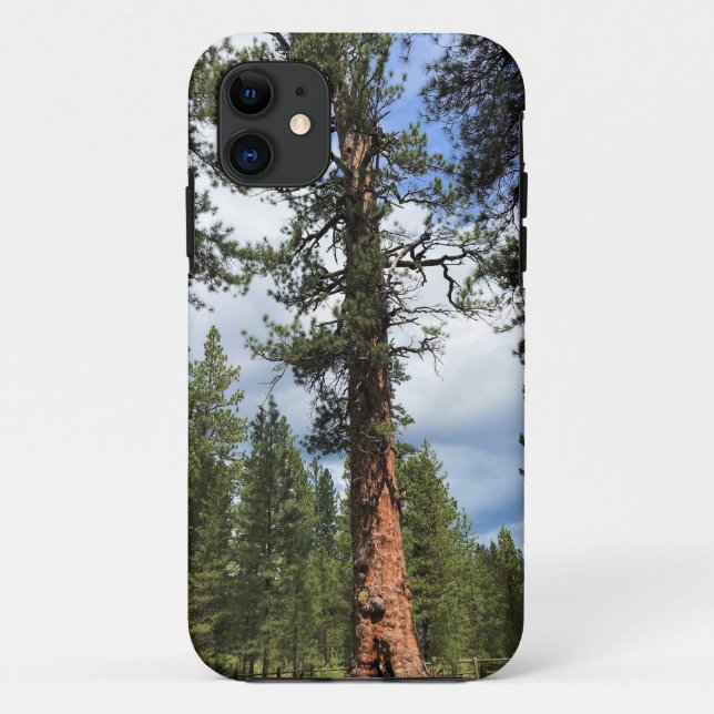 Capa Para iPhone 11 Grande Árvore Vermelha, La Pine, OU (Verso)