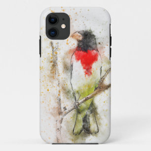 Capa Para iPhone 11 Grosbeak (Pheucticus ludovicianus)