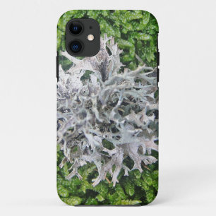 Capa Para iPhone 11 Hellgraue Flechte auf hübschem Moos