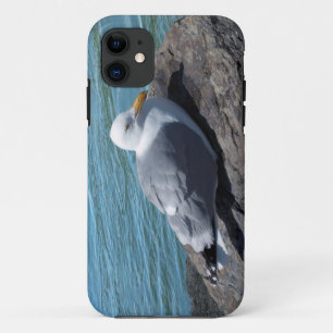 Capa Para iPhone 11 Herring Gull em Rock Jetty