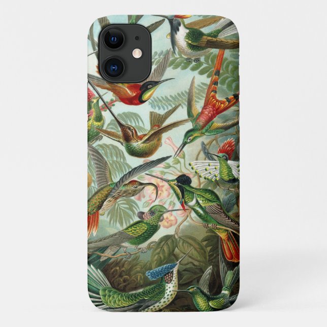 Capa Para iPhone 11 Hummingbird (Verso)
