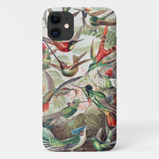 Capa Para iPhone 11 Hummingbird, Trochilidae Kolibris, por Ernst Haeck (Verso)