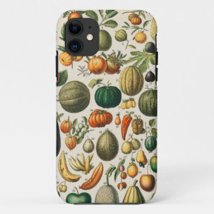 Capa Para iPhone 11 Ilustração Científica Botânica Vegetal fruta