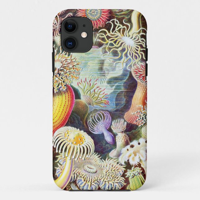 Capa Para iPhone 11 Ilustração de anêmonas do mar por Ernst Haeckel (Verso)