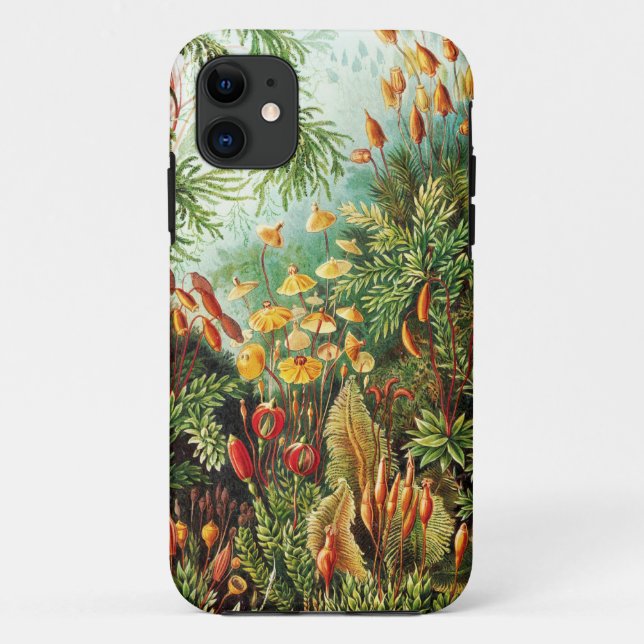 Capa Para iPhone 11 Ilustração Muscinae de Ernst Haeckel (Verso)