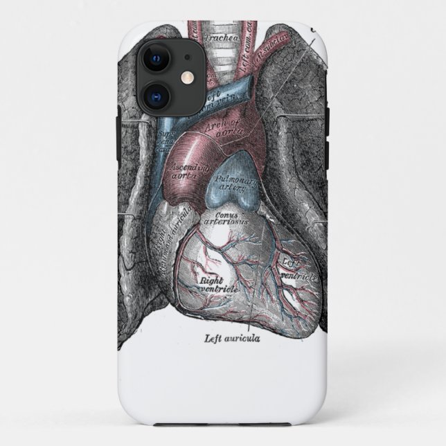 Capa Para iPhone 11 Ilustração Vintage Cinza Anatomia Pulmões Cardíaco (Verso)