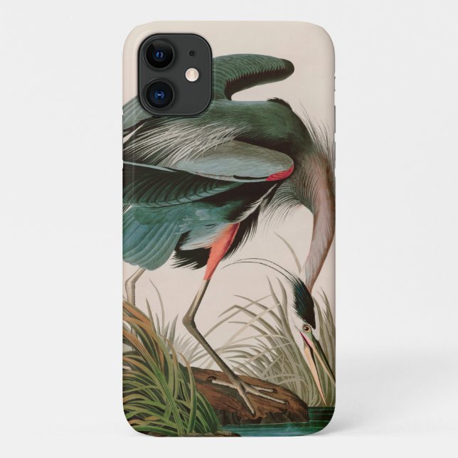 Capa Para iPhone 11 Impressão de excelente de Audubon, Aves Azuis- da  (Verso)