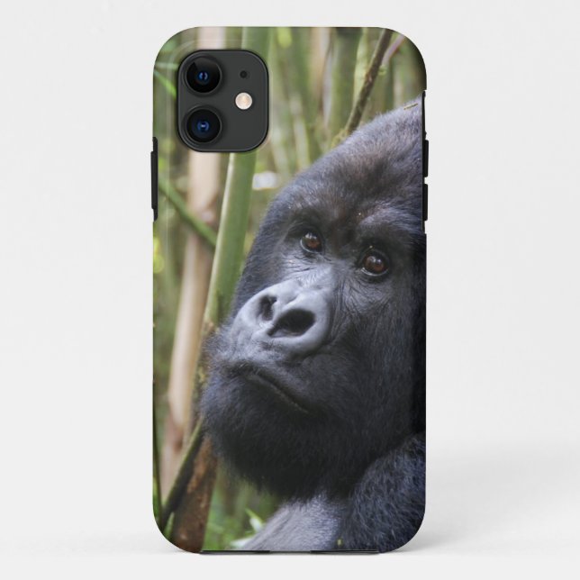 Capa Para iPhone 11 IP do modelo do qpc do iphone 5 mal lá - (Verso)