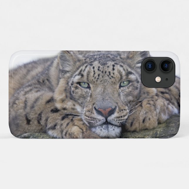 Capa Para iPhone 11 iPhone 11 Green-Eyed Gaze (Verso (horizontal))