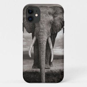 Capa Para iPhone 11 iphone, elefante