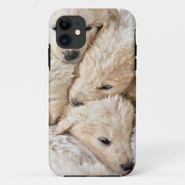 Capa Para iPhone 11 iPhone / iPad case (Verso)