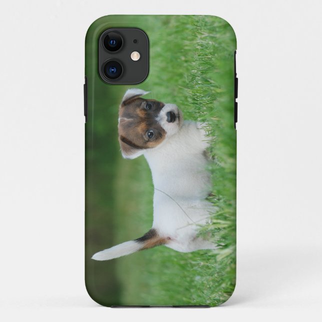 Capa Para iPhone 11 Jack Russell Terrier cachorrinho (Verso)