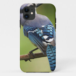 Capa Para iPhone 11 Jay azul que pensa de você pai da mamã da família