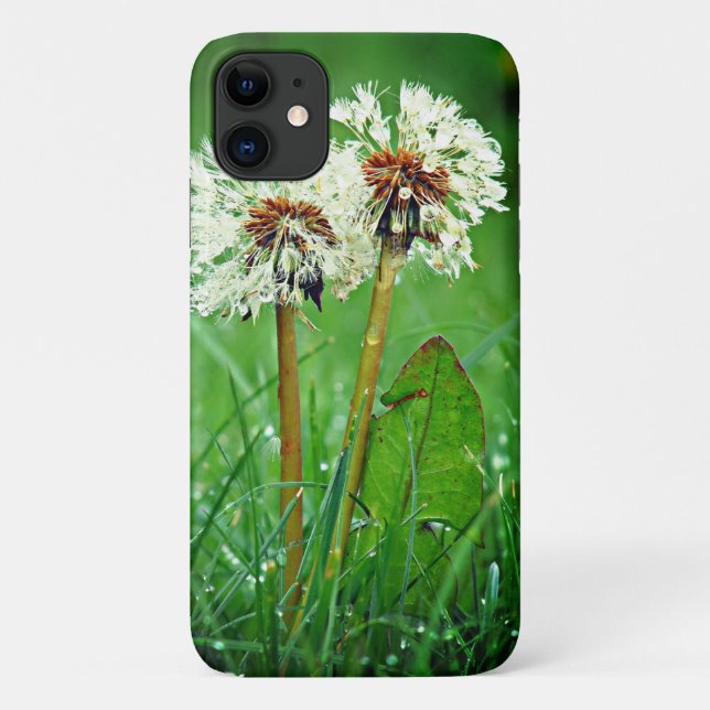 Capa Para iPhone 11 Juntos. Sempre Dois Dandeliões com gotas de chuva (Verso)