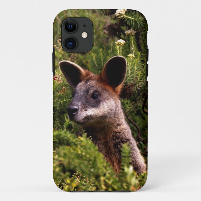 Capa Para iPhone 11 Kangaroo (Verso)