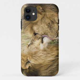 Capa Para iPhone 11 Kenya, Masai Mara