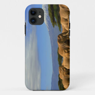 Capa Para iPhone 11 Kilimanjaro e elefantes