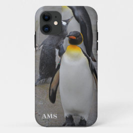 Capa Para iPhone 11 King Penguin & Friends Edinburgh Zoo Scotland
