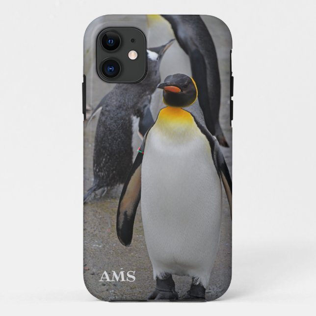 Capa Para iPhone 11 King Penguin & Friends Edinburgh Zoo Scotland (Verso)