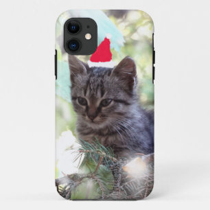Capa Para iPhone 11 Kitten Natal iPhone 5/5 S, Mal Lá