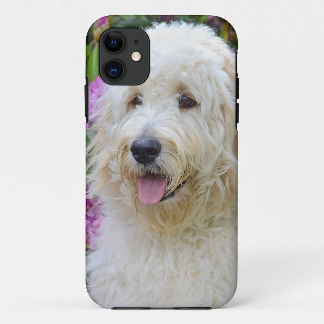 Capa Para iPhone 11 Labradoodle (Verso)