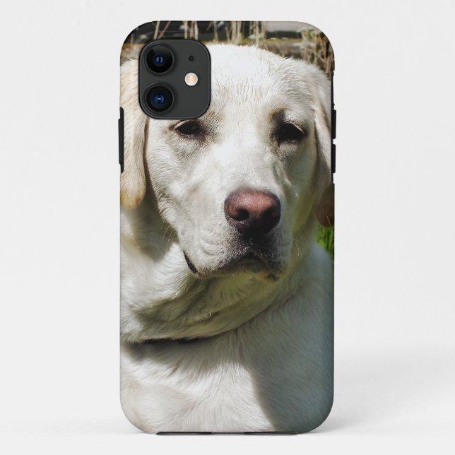 CAPA PARA iPhone 11 LABRADOR DOG (Verso)
