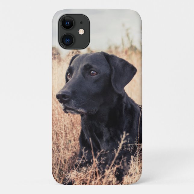 Capa Para iPhone 11 Labrador Preto De Grama Seca (Verso)