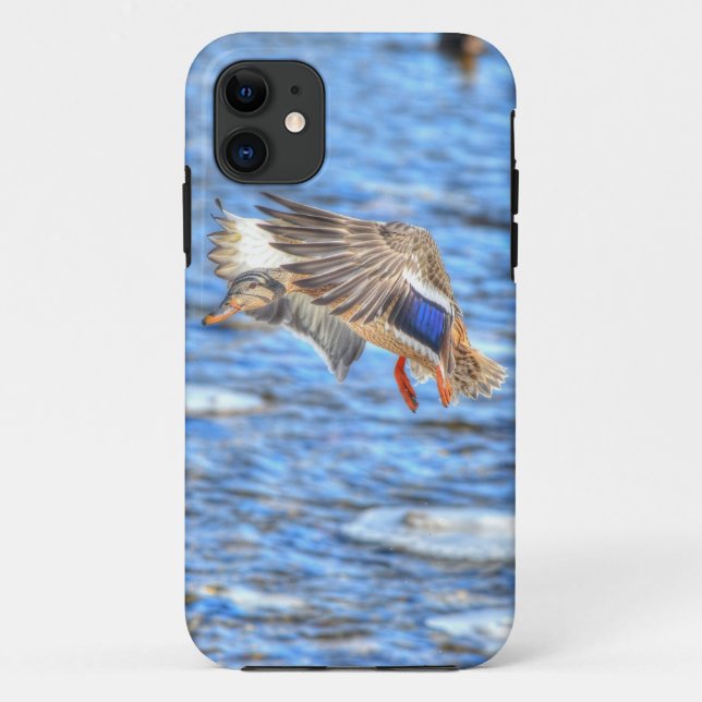 Capa Para iPhone 11 Landing Mallard Duck Wildlife Foto (Verso)