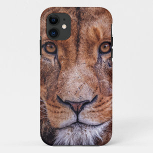 Capa Para iPhone 11 Leão Africano