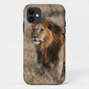 Capa Para iPhone 11 Leão Africano na Grama