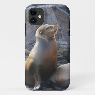 Capa Para iPhone 11 Leão-Marinho