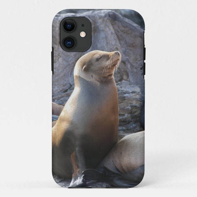 Capa Para iPhone 11 Leão-Marinho (Verso)