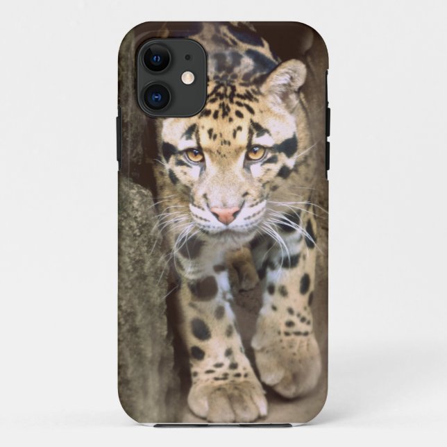 Capa Para iPhone 11 Leopardo nublado (Verso)