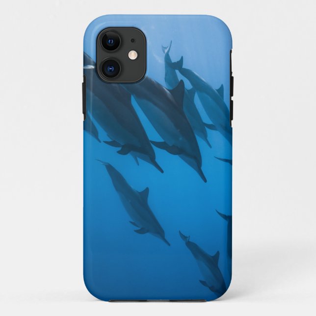 Capa Para iPhone 11 Lindas Criaturas Oceânicas (Verso)
