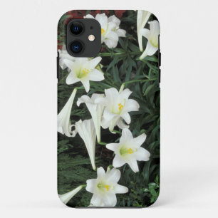 Capa Para iPhone 11 Lírio-de-páscoa (Lilium regale)
