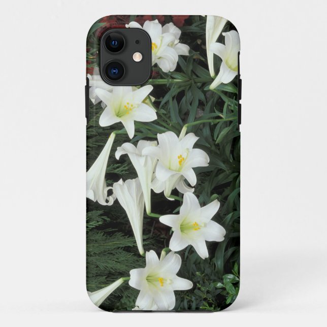 Capa Para iPhone 11 Lírio-de-páscoa (Lilium regale) (Verso)