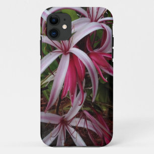 Capa Para iPhone 11 Lírio roxo de Crinum da rainha Emma