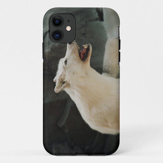 Capa Para iPhone 11 Lobo Branco (Verso)