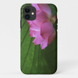 Capa Para iPhone 11 Lótus Ohga, Jardim Sankei-en, Yokohama, Japão