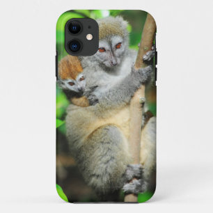 Capa Para iPhone 11 Madagáscar, Andasibe, Ilha dos Lêmures, Mãe