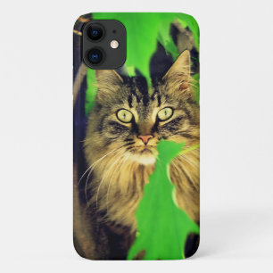 Capa Para iPhone 11 Maine Coon na árvore