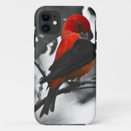 Capa Para iPhone 11 Male Scarlet Tanager