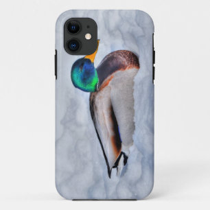 Capa Para iPhone 11 Mallard Duck Drake Wildlife Retrato