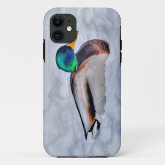 Capa Para iPhone 11 Mallard Duck Drake Wildlife Retrato