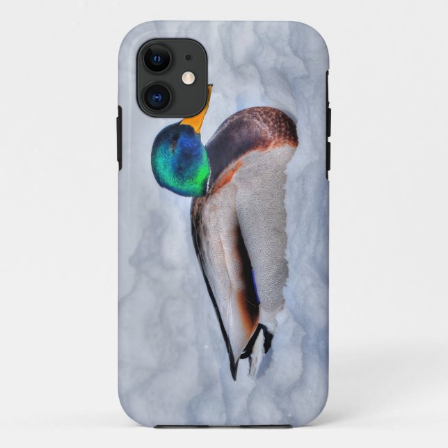 Capa Para iPhone 11 Mallard Duck Drake Wildlife Retrato (Verso)