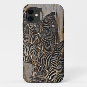 Capa Para iPhone 11 Manada de Zebras de Burchell bebendo do Mara